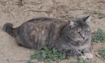 Rosita Bild von Rosita