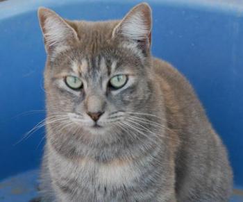 Rosita Bild von Rosita