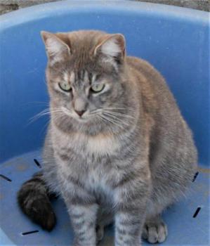 Rosita Bild von Rosita