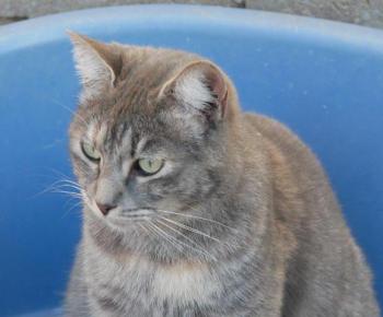 Rosita Bild von Rosita