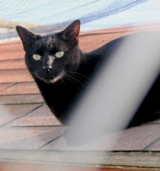 Thabo Bild von Thabo