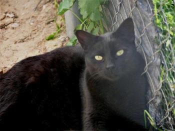 Thabo Bild von Thabo