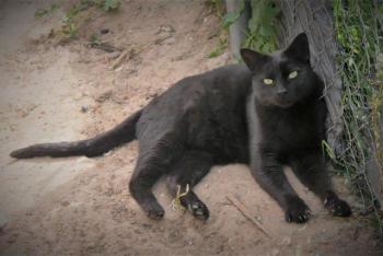 Thabo Bild von Thabo