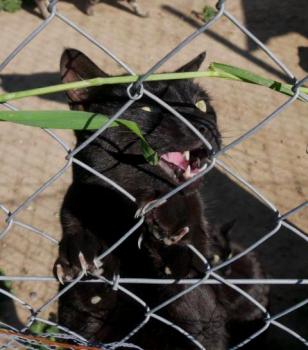 Thabo Bild von Thabo