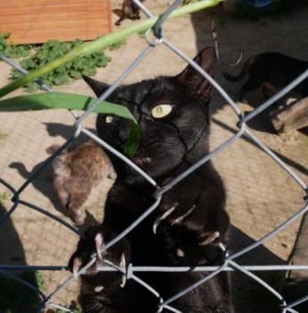 Thabo Bild von Thabo