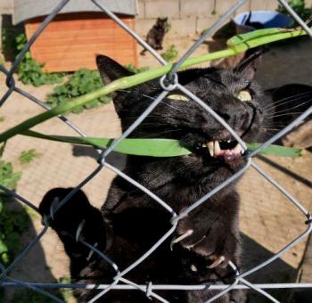 Thabo Bild von Thabo