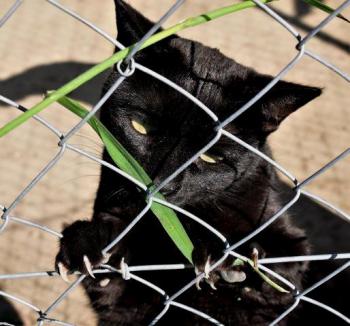 Thabo Bild von Thabo