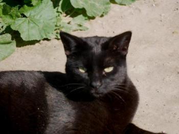 Thabo Bild von Thabo