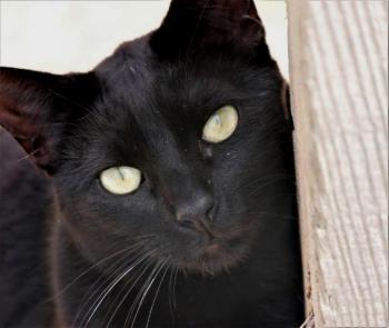 Thabo Bild von Thabo