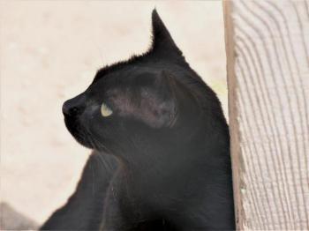 Thabo Bild von Thabo