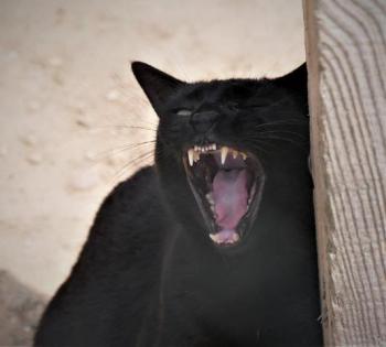 Thabo Bild von Thabo