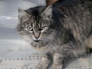 Bela Bild von Bela
