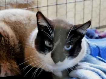 Sanouk Bild von Sanouk
