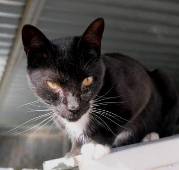 Auxi Bild von Auxi