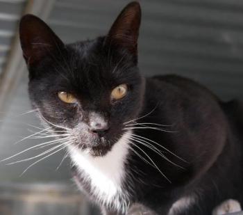 Auxi Bild von Auxi