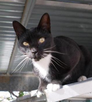 Auxi Bild von Auxi