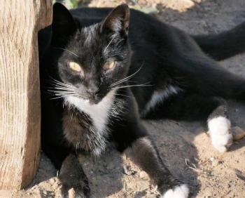 Auxi Bild von Auxi