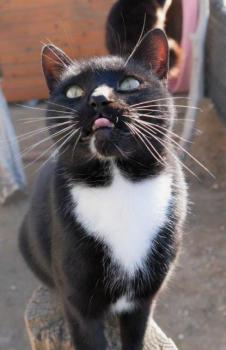 Auxi Bild von Auxi