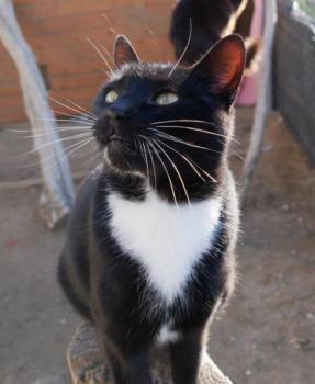 Auxi Bild von Auxi