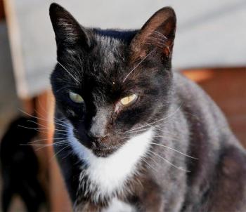 Auxi Bild von Auxi