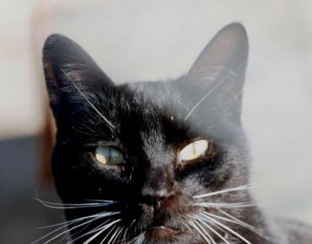 Auxi Bild von Auxi