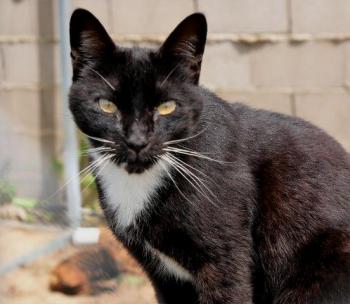 Auxi Bild von Auxi