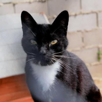 Auxi Bild von Auxi