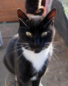Auxi Bild von Auxi