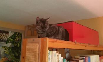Roco Bild von Roco