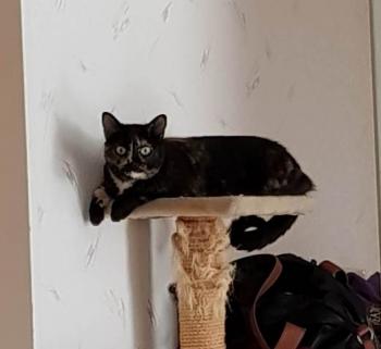 Geraldina Bild von Geraldina