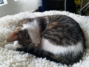 Clarita Bild von Clarita