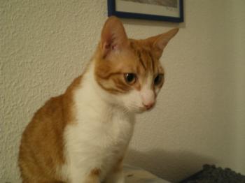 Rabuni Bild von Rabuni