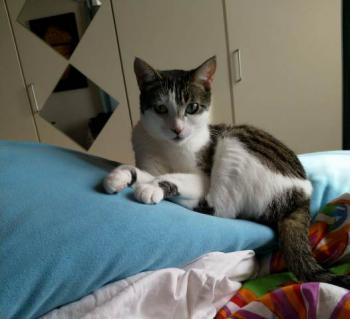 Clarita Bild von Clarita