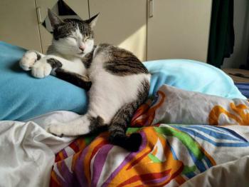 Clarita Bild von Clarita