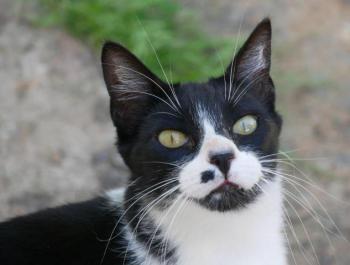 Bascha Bild von Bascha