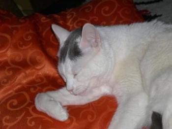 Kiara Bild von Kiara