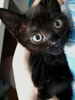Nuka Bild von Nuka