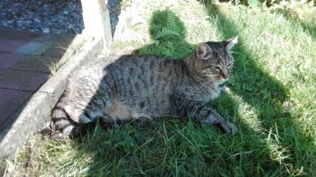 Linus Bild von Linus
