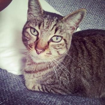 Linus Bild von Linus