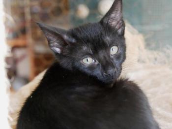 Baccio Bild von Baccio
