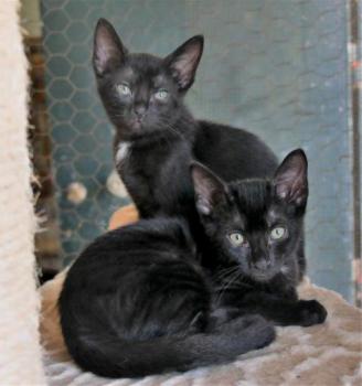 Baccio Bild von Baccio