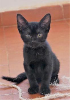 Aayusha Bild von Aayusha