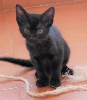 Aayusha Bild von Aayusha