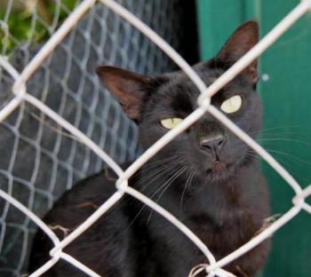 Thabo Bild von Thabo