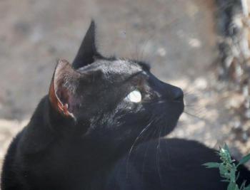 Thabo Bild von Thabo