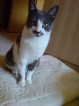 Bild von Lennon