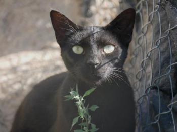 Thabo Bild von Thabo