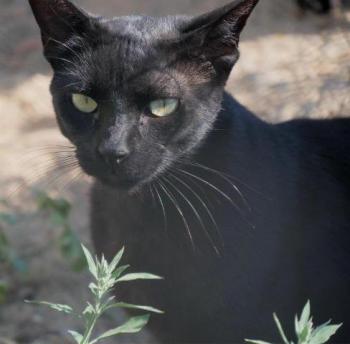 Thabo Bild von Thabo