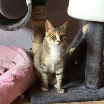 Margaret Bild von Margaret