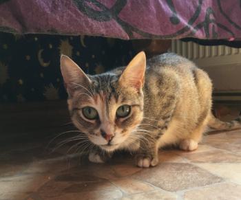 Margaret Bild von Margaret